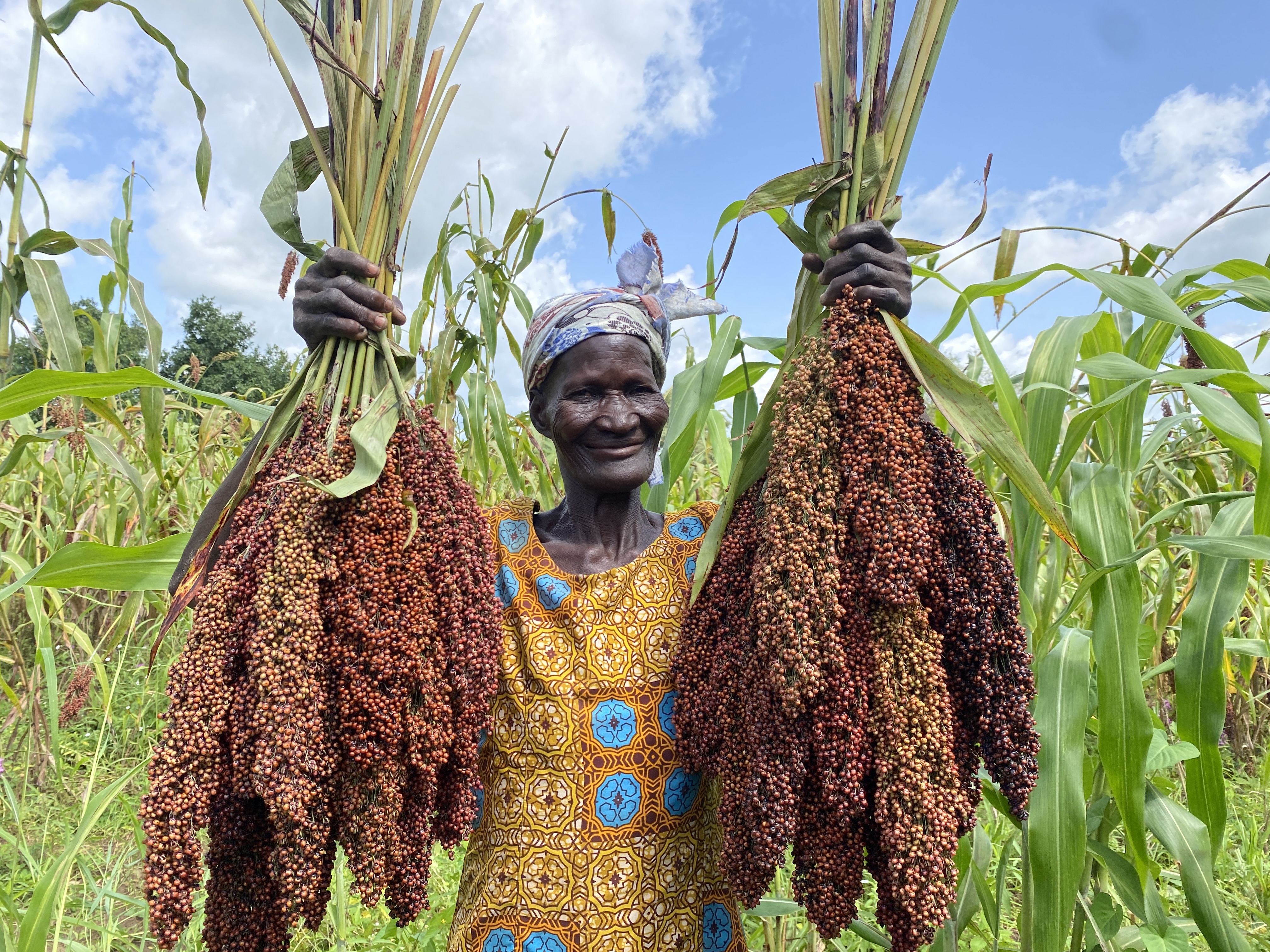 Livelihood & Agriculture