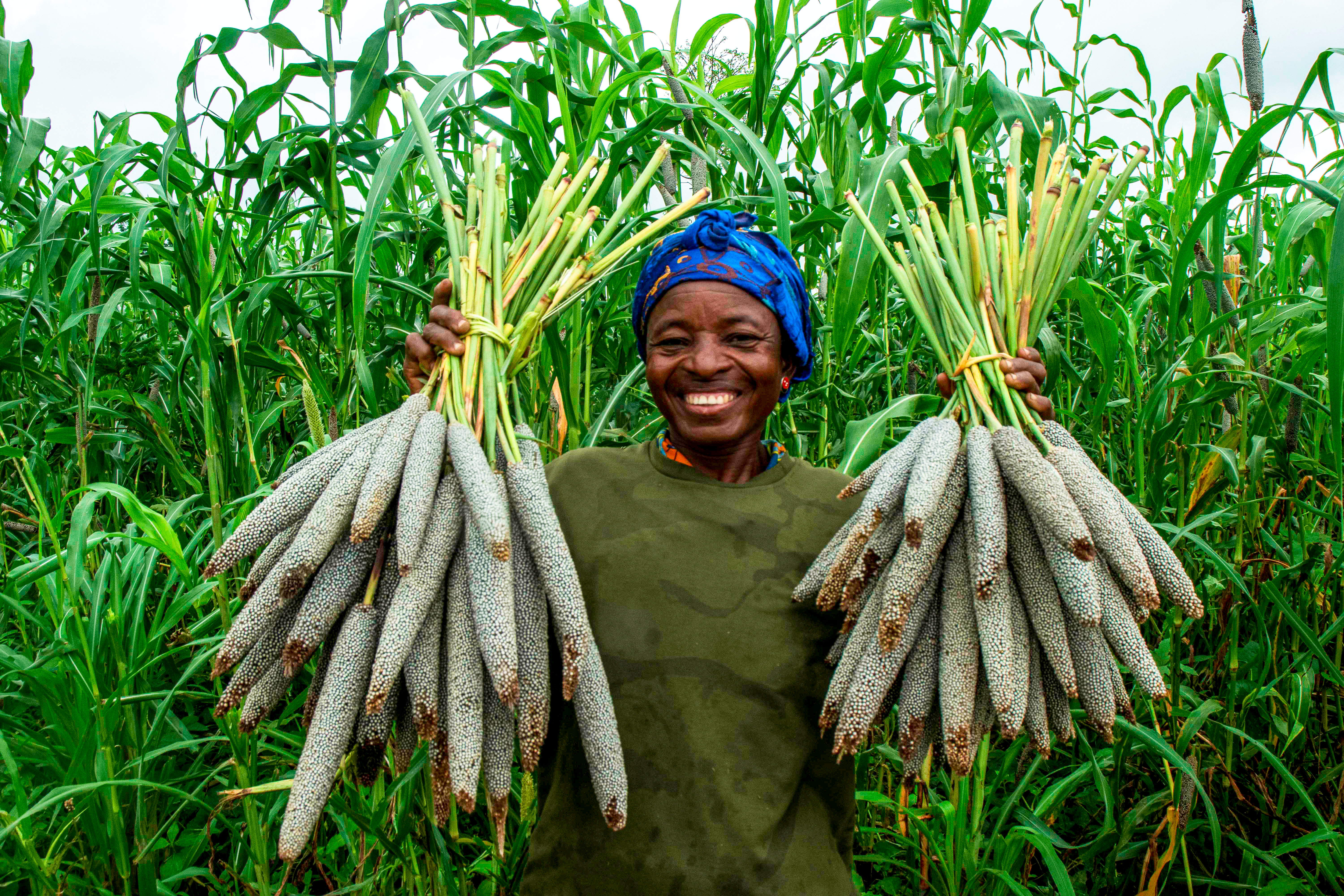 Strengthening of Smallholder-Farmers Resilience towards a Changing Climate and Promotion of Environmentally Friendly Agriculture in the Diocese of Navrongo-Bolgatanga (SCRAS 1044 ZG)